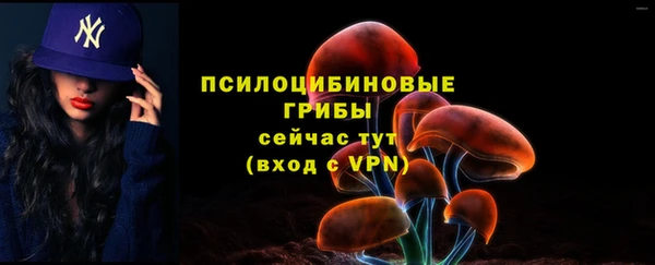ALPHA PVP Богданович