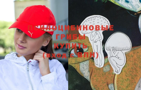 прущая мука Богородск