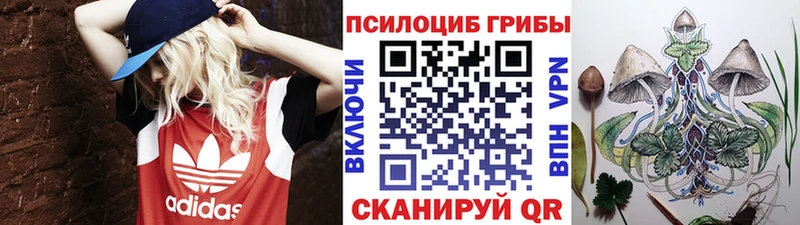 Псилоцибиновые грибы ЛСД  даркнет сайт  Кондрово 